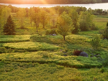 Picture of CANADA, NEW BRUNSWICK SUNSET OVER ST JOHN RIVER