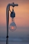 Picture of JAPAN, HOKKAIDO SUNRISE THROUGH A IGHT BULB