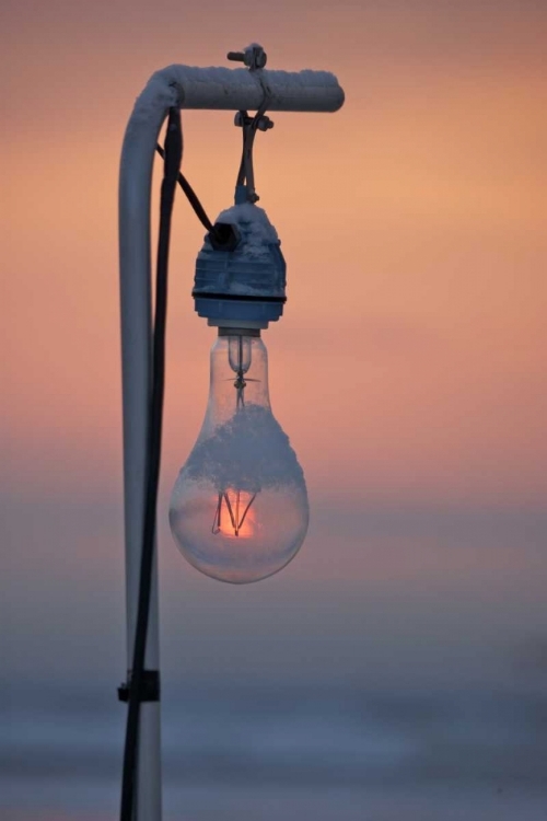 Picture of JAPAN, HOKKAIDO SUNRISE THROUGH A IGHT BULB