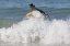 Picture of SAUNDERS ISLAND GENTOO PENGUIN EMERGES FROM SEA