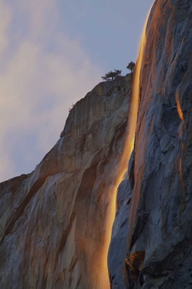 Picture of CA, YOSEMITE LIGHT REFLECTS OFF HORSETAIL FALLS