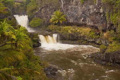 Picture of HI, MAUI, HALEAKALA NP SEVEN SACRED POOLS