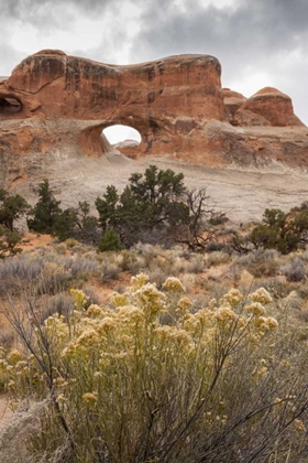 Picture of USA, UTAH, ARCHES NP SCENIC OF TUNNEL ARCH