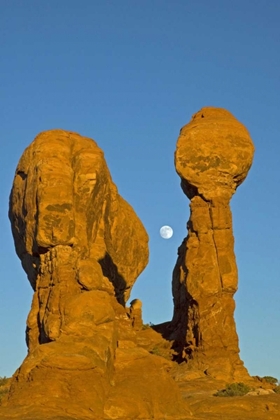 Picture of UT, ARCHES NP MOONRISE OVER GARDEN OF EDEN