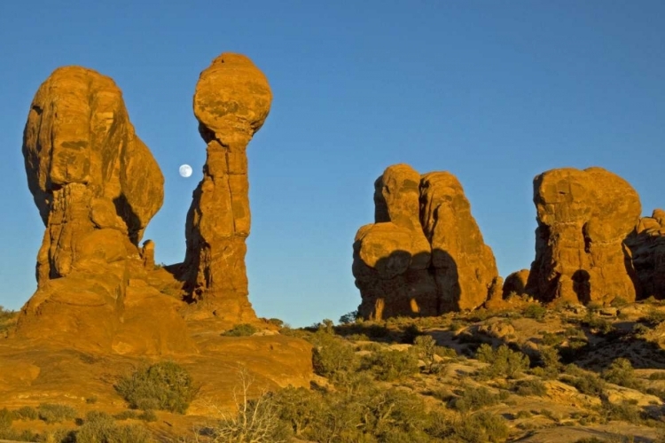 Picture of UT, ARCHES NP MOONRISE OVER GARDEN OF EDEN