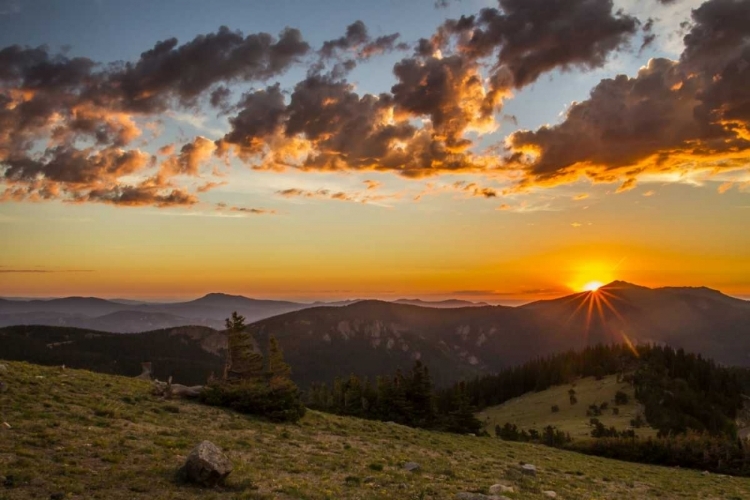 Picture of CO, MT EVANS BRISTLECONE PINES AND CLOUDS