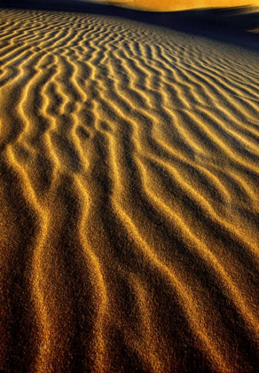 Picture of OREGON, OREGON DUNES NRA DUNE PATTERN ABSTRACT