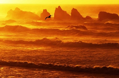 Picture of OREGON, BANDON SUNSET OVER WAVES AND SEA STACKS