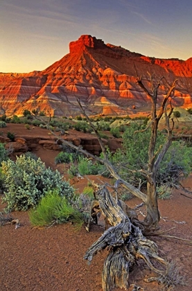 Picture of UTAH PARIA CANYON SANDSTONE FORMATION AT SUNSET