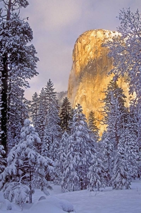 Picture of CALIFORNIA, YOSEMITE EL CAPITAN LIT BY SUNLIGHT