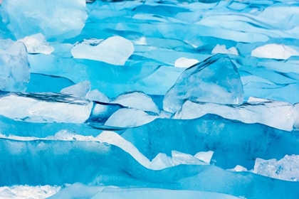 Picture of ALASKA, GLACIER BAY NP CLOSE-UP OF BLUE ICE