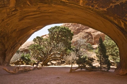 Picture of USA, UTAH, ARCHES NP VIEW OF CAVE-LIKE ARCH