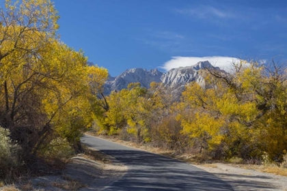 Picture of CALIFORNIA, ALABAMA HILLS TUTTLE CREEK ROAD