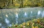 Picture of WASHINGTON QUINAULT RIVER IN THE OLYMPIC NP