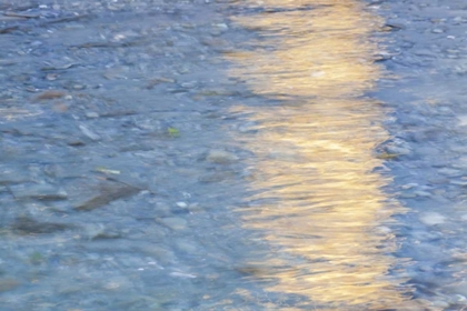 Picture of WASHINGTON QUINAULT RIVER IN THE OLYMPIC NP