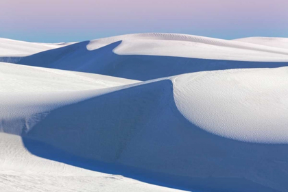 Picture of NEW MEXICO, WHITE SANDS NM DESERT LANDSCAPE