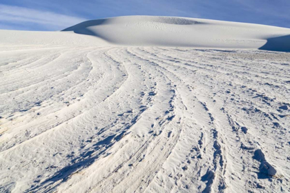 Picture of NEW MEXICO, WHITE SANDS NM DESERT LANDSCAPE