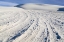 Picture of NEW MEXICO, WHITE SANDS NM DESERT LANDSCAPE