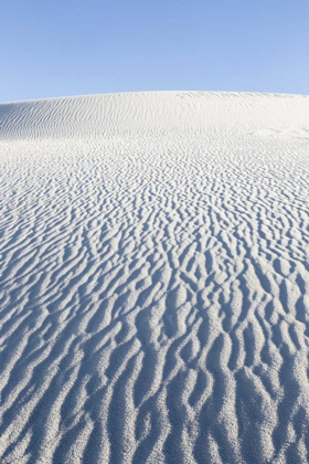 Picture of NEW MEXICO, WHITE SANDS NM DESERT LANDSCAPE