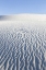 Picture of NEW MEXICO, WHITE SANDS NM DESERT LANDSCAPE
