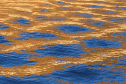 Picture of UTAH, GLEN CANYON REFLECTION IN LAKE POWELL