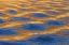 Picture of UTAH, GLEN CANYON REFLECTION IN LAKE POWELL