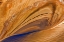 Picture of UTAH, GLEN CANYON REFLECTION IN LAKE POWELL