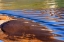Picture of UTAH, GLEN CANYON REFLECTION IN LAKE POWELL