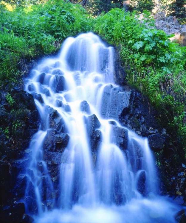 Picture of CA, SIERRA NEVADA WATERFALL IN REDS MEADOW