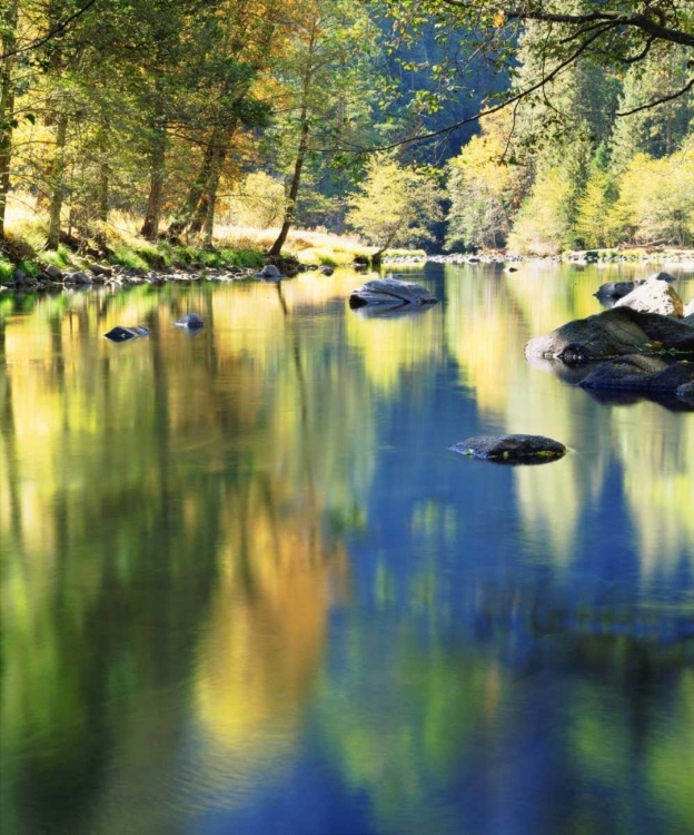 Picture of CA, YOSEMITE AUTUMN AROUND THE MERCED RIVER