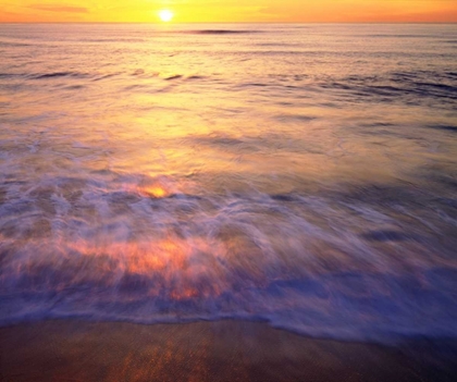 Picture of CA, SAN DIEGO SUNSET CLIFFS BEACH AT SUNSET