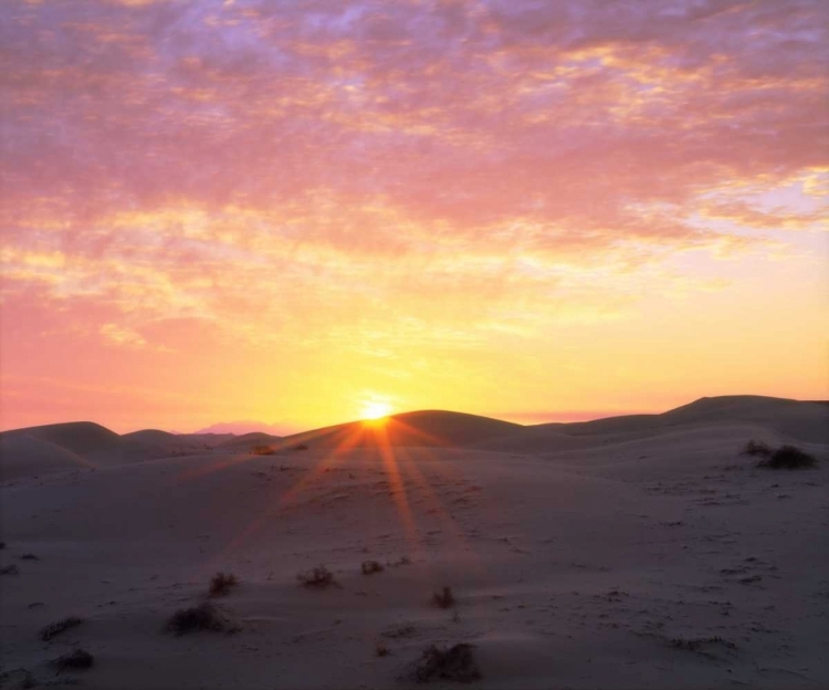 Picture of USA, CALIFORNIA, GLAMIS SAND DUNES AT SUNRISE