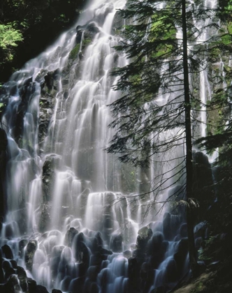 Picture of OREGON, MT HOOD WILDERNESS RAMONA FALLS