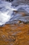 Picture of USA, OREGON WATERFALL IN SOUTH FORK RIVER