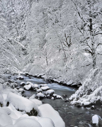 Picture of OREGON, MT HOOD NF SNOW ON BOULDER CREEK