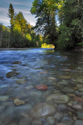 Picture of OREGON, MT HOOD NF SANDY RIVER LANDSCAPE