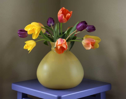 Picture of OR, PORTLAND TULIPS IN ANTIQUE GLASS VASE
