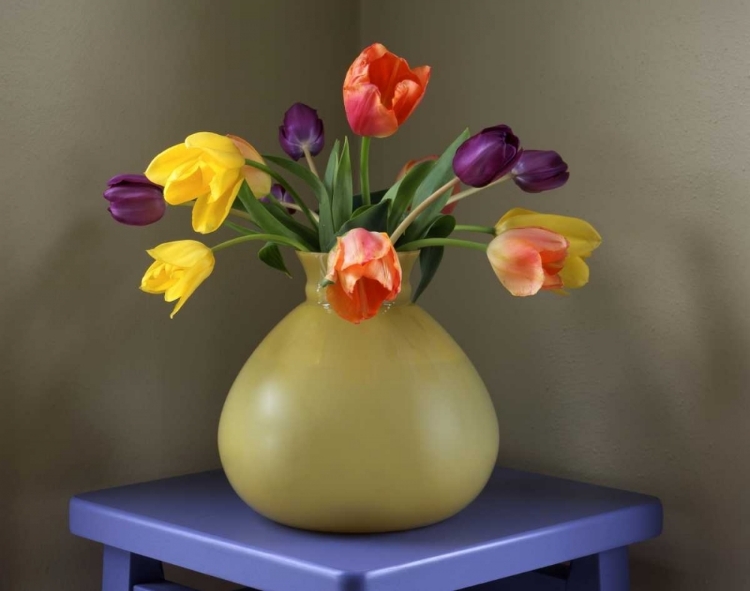 Picture of OR, PORTLAND TULIPS IN ANTIQUE GLASS VASE
