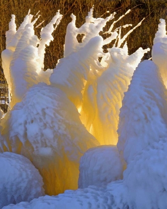 Picture of OR, COLUMBIA GORGE ICE FORMATIONS GLOWING