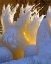 Picture of OR, COLUMBIA GORGE ICE FORMATIONS GLOWING