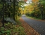 Picture of NY, ADIRONDACK MTS AUTUMN TREES LINE ROAD