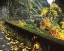 Picture of OR, COLUMBIA GORGE, COLUMBIA RIVER HIGHWAY