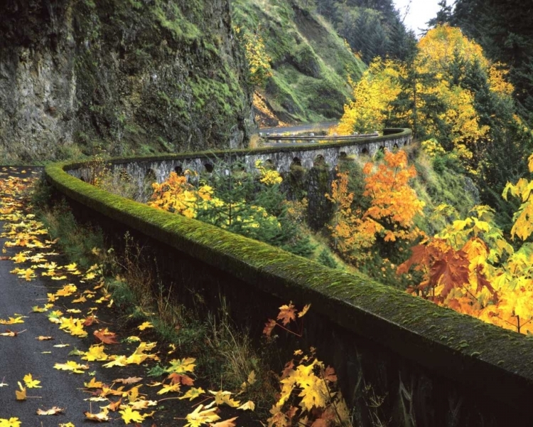 Picture of OR, COLUMBIA GORGE, COLUMBIA RIVER HIGHWAY