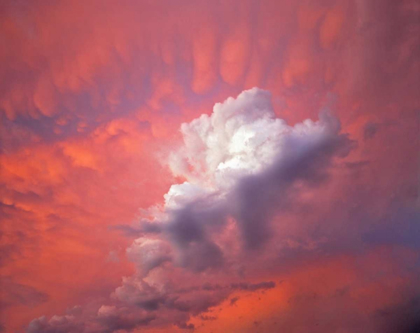 Picture of OREGON, PORTLAND CLOUDS WITH SUNSET COLORS