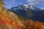 Picture of WA, MOUNT BAKER WILDERNESS VIEW OF MOUNT SHUKSAN