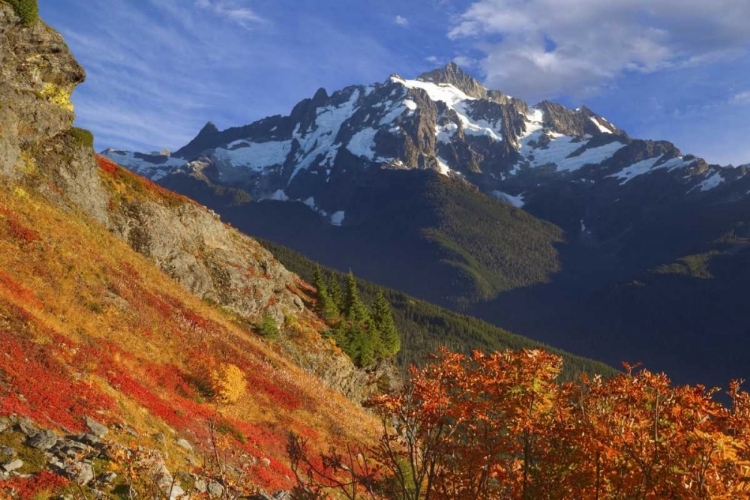 Picture of WA, MOUNT BAKER WILDERNESS VIEW OF MOUNT SHUKSAN