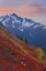 Picture of WA, MOUNT BAKER WILDERNESS VIEW OF MOUNT SHUKSAN