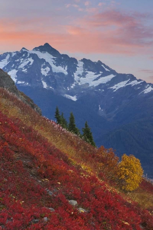 Picture of WA, MOUNT BAKER WILDERNESS VIEW OF MOUNT SHUKSAN