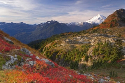 Picture of WA, MOUNT BAKER WILDERNESS VIEW OF MOUNT SHUKSAN