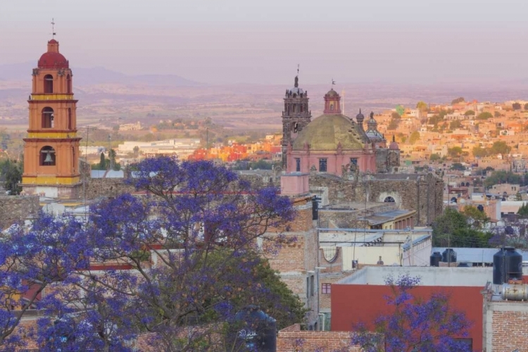 Picture of MEXICO, SAN MIGUEL DE ALLENDE JACARANDA AND CITY